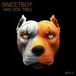 Artwork for "Uno Dos Tres"