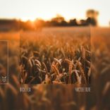 Чистое Поле