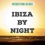 Artwork voor "Ibiza By Night"