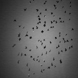 Portada para "Blogas"