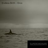 Artwork for "Orca"