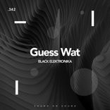 Artwork voor "Guess Wat"