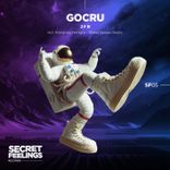 Gocru (Fernando Ferreyra Remix)