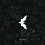 Artwork for "Shiya ikhanda lirasa"