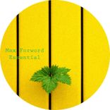 Artwork for "Essential"