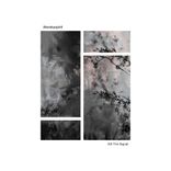 Artwork für "Kill The Signal"