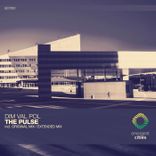 Portada para "The Pulse"
