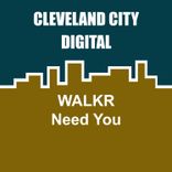 Portada para "Need You"