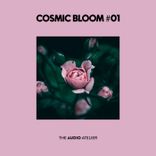 Artwork for "Cosmic Bloom #01"