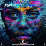 Artwork for "Te Gusta"