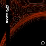 Artwork for "Reborn"