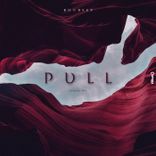 Portada para "Pull"