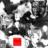 Artwork for "Acid Funk"