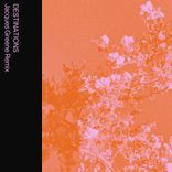Artwork for "DESTINATIONS (Jacques Greene Remix)"