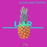 Portada para "Liar"