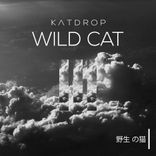 Artwork voor "Wild Cat"