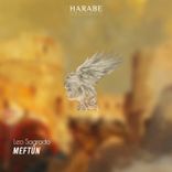 Artwork for "Meftûn"