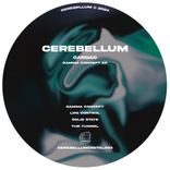 Artwork for "GAMMA CONCEPT"