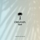 Artwork for "Organix"