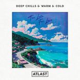 Artwork für "Too Late For Love"