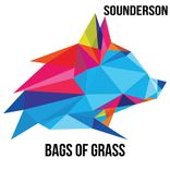 Artwork for "Bags Of Grass"