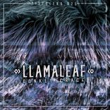 Donkey Crack & Barbed Wire