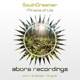 Artwork for "Miracle of Life"