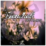 Portada para "Gandhali - Remixes"