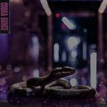 Artwork voor "COBRA DANCE"