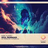 Artwork voor "Soul Reminder"