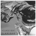 Artwork for "Slaminak 20"