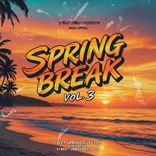 Artwork voor "Street Urban Collection - Spring Break, Vol. 3"