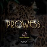 Artwork voor "Prowess"