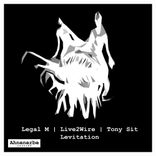Artwork for "Levitation"