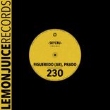 Artwork for "Skycru"