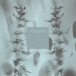 Artwork für "Society of Illusions"