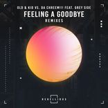 Artwork for "Feeling A Goodbye Remixes"