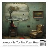 Artwork for "Set You Free Vocal Mixes"