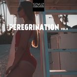 Artwork for "Peregrination, Vol. 8"