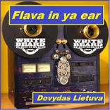 Artwork voor "Flava In Ya Ear"