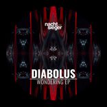 Portada para "Wondering"