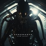 Bludeau X13 Security Braces