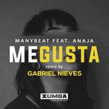 Artwork for "Me Gusta (Gabriel Nieves Remix)"
