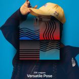 Portada para "Versatile Pose"