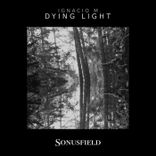 Artwork for "Dying Light"