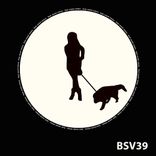 Artwork for "The Pattern"