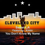 Artwork voor "You Don't Know My Name"