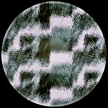 Artwork for "Blur Archive"