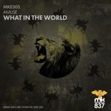Portada para "What in the World"