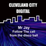 Portada para "Follow the Call from the Disco Ball"